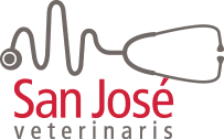 San José Veterinaris: clínica veterinaria en La Sagrera (Barcelona)